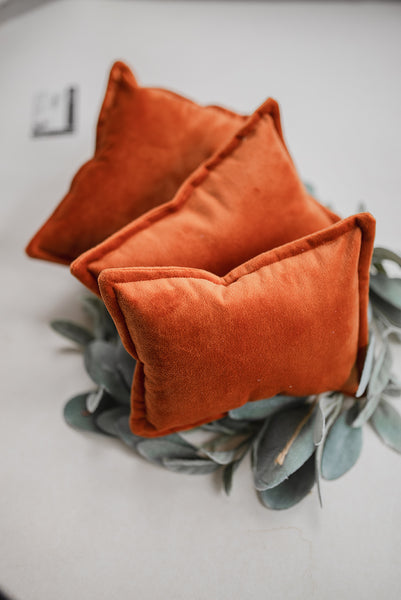 Pumpkin Velvet Pillow Prop