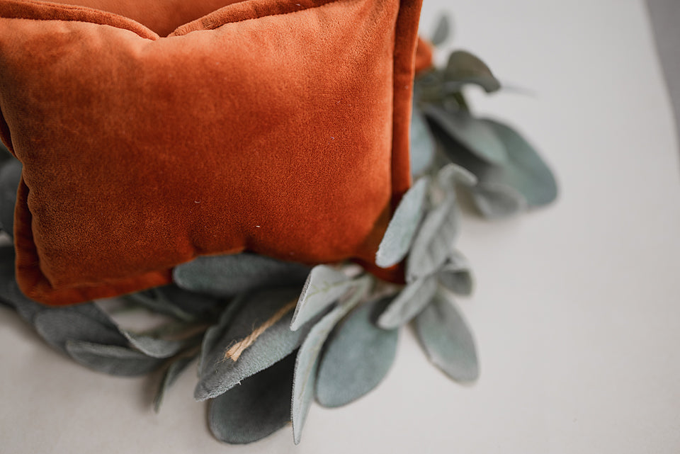 Pumpkin Velvet Pillow Prop