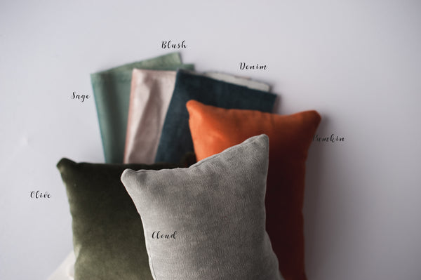 Fall Velvet Prop Pillow *color choice*